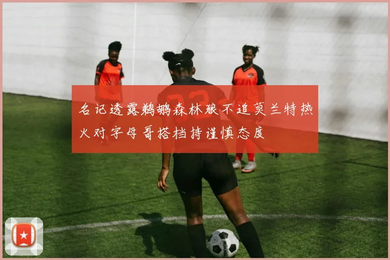 名记透露鹈鹕森林狼不追莫兰特热火对字母哥搭档持谨慎态度