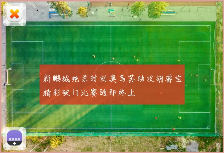 新鹏城绝杀时刻奥乌苏助攻胡睿宝精彩破门比赛随即终止